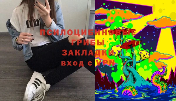 прущие грибы Алзамай