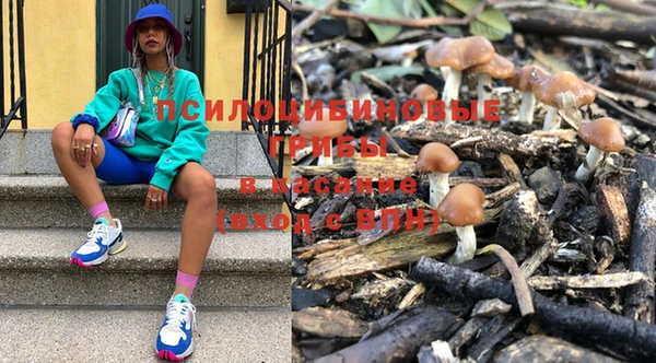 прущие грибы Алзамай