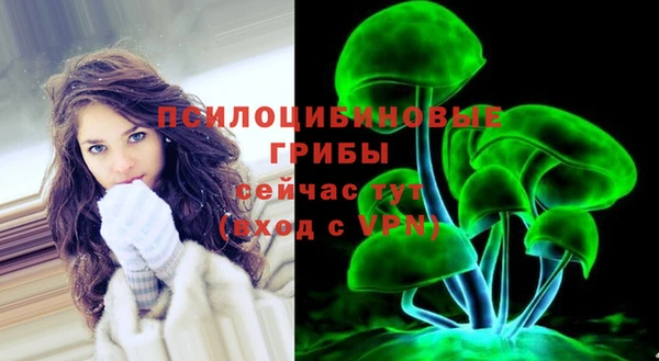 прущие грибы Алзамай