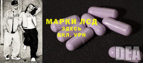 прущие грибы Алзамай