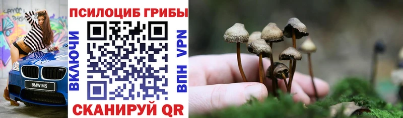 как найти   Инсар  Галлюциногенные грибы мухоморы 